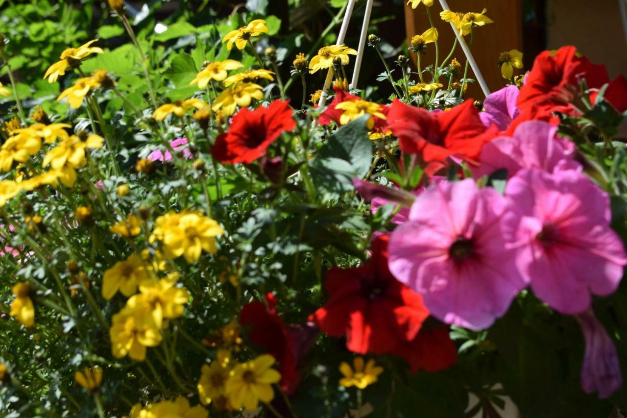 Marktstuebchen An Der Schoenen Loreley Bornich 外观 照片